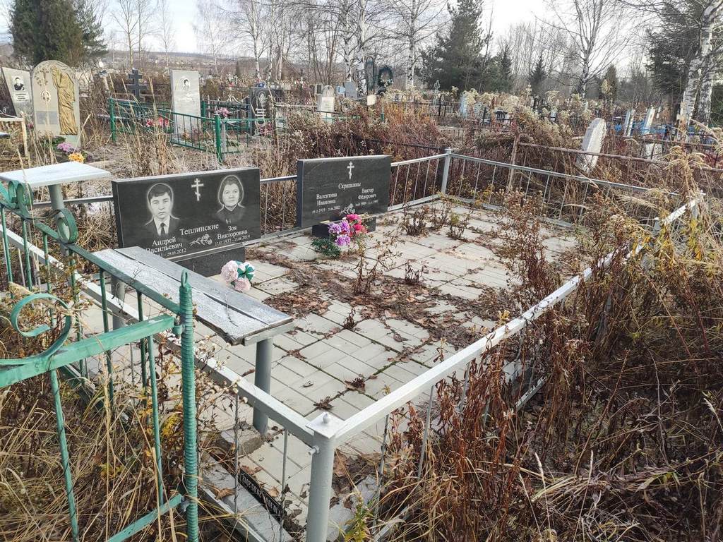 Теплинский Андрей Васильевич