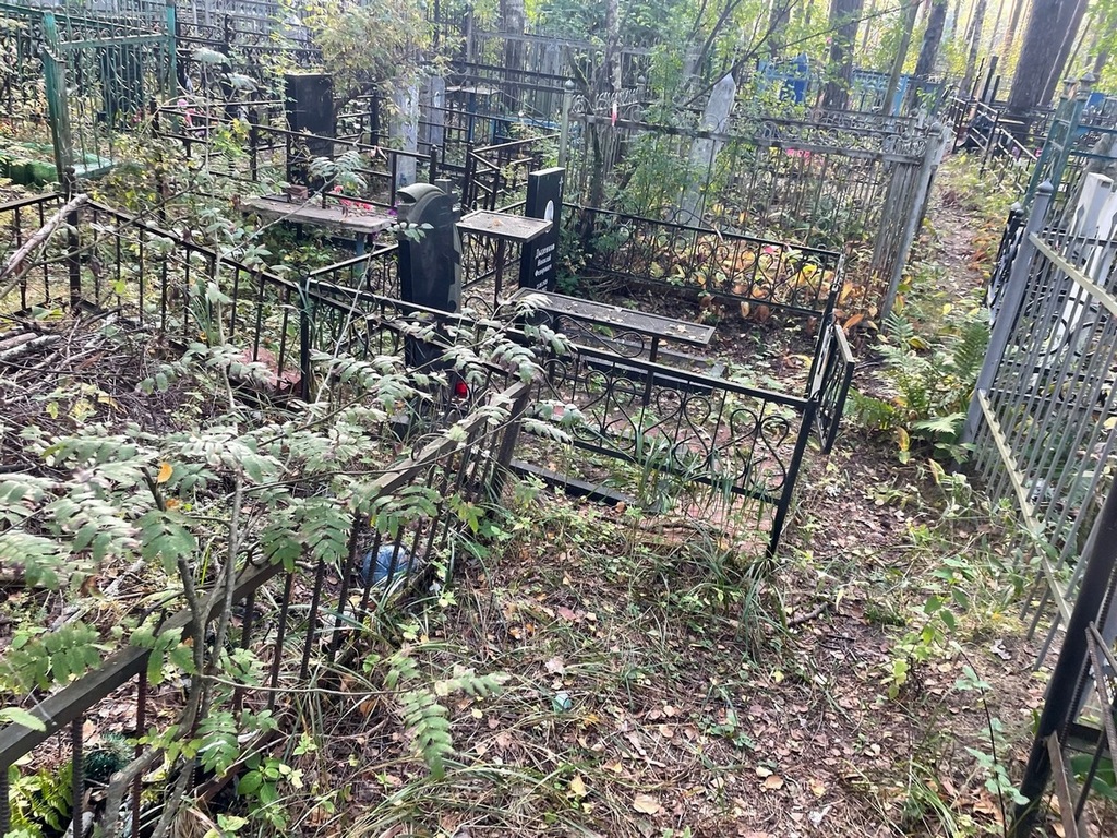 Дыденкова Ирина Георгиевна