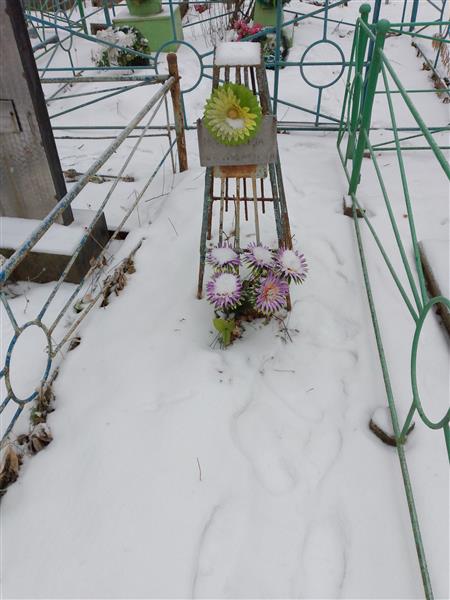 Патрина Мария Николаевна