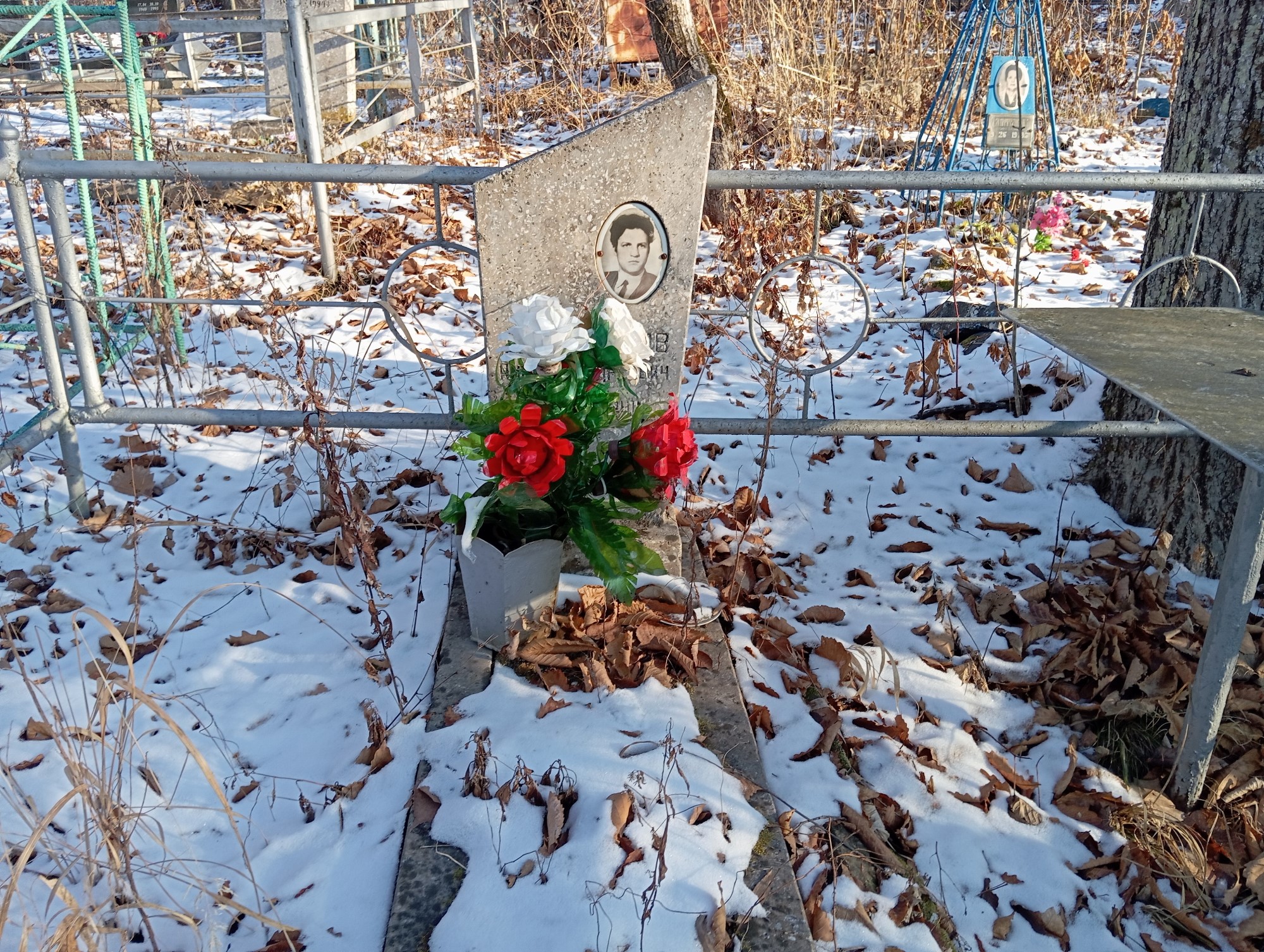Долгополов Андрей Андреевич