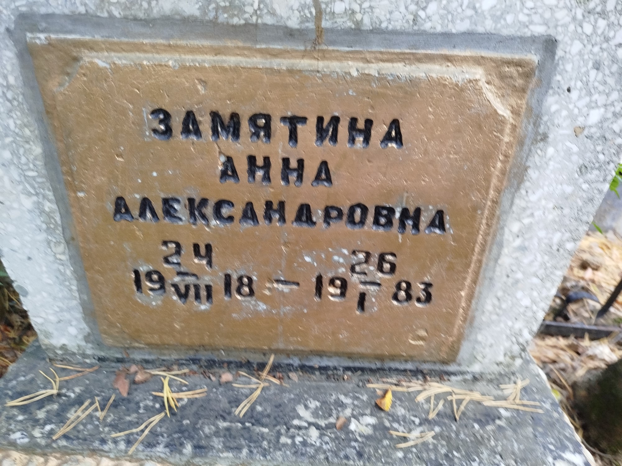 Замятина Анна Александровна
