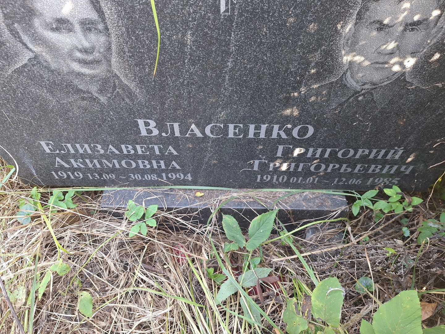 Власенко