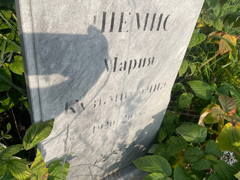 Шемис