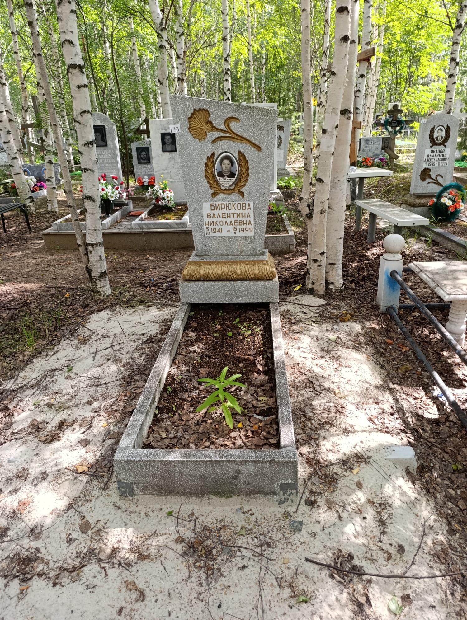 Бирюкова Валентина Николаевна