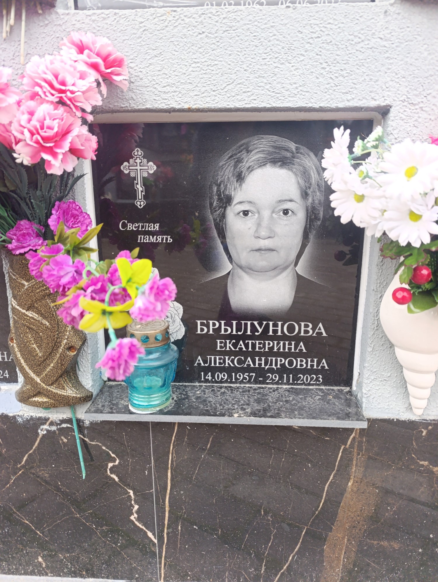 Брылунова Екатерина Александровна