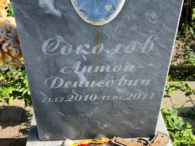 Соколов