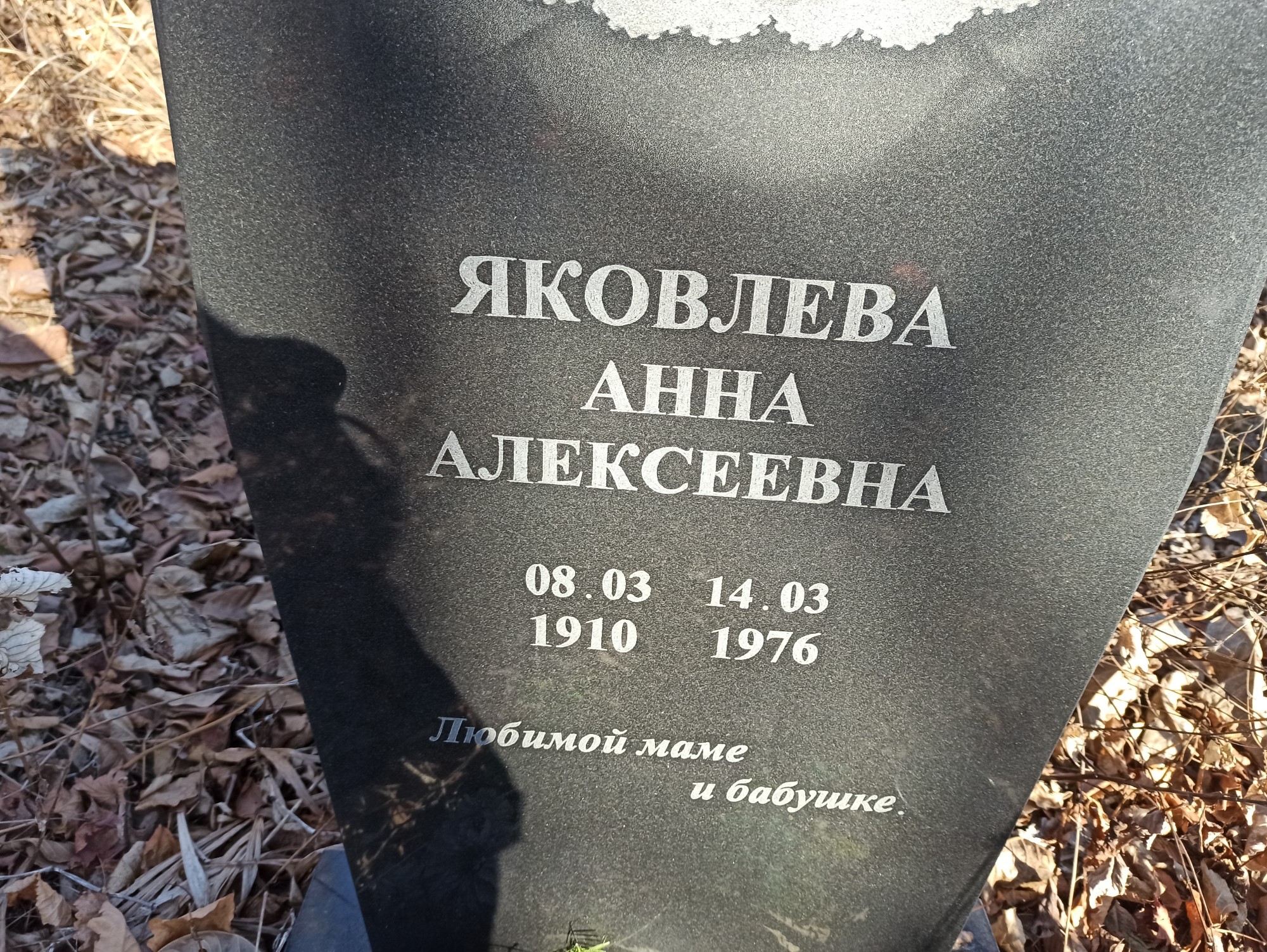 Яковлева Анна Алексеевна