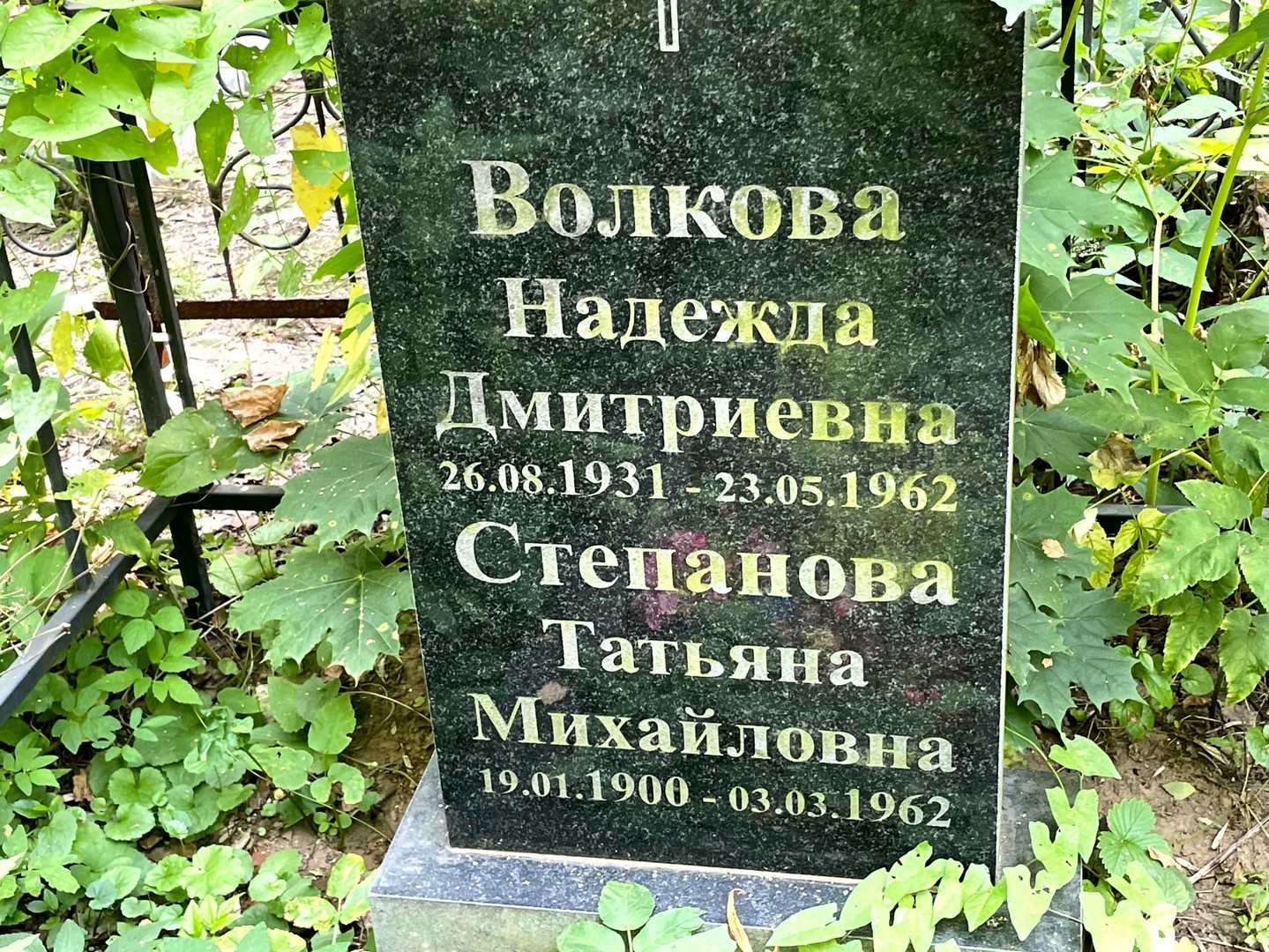 Волкова