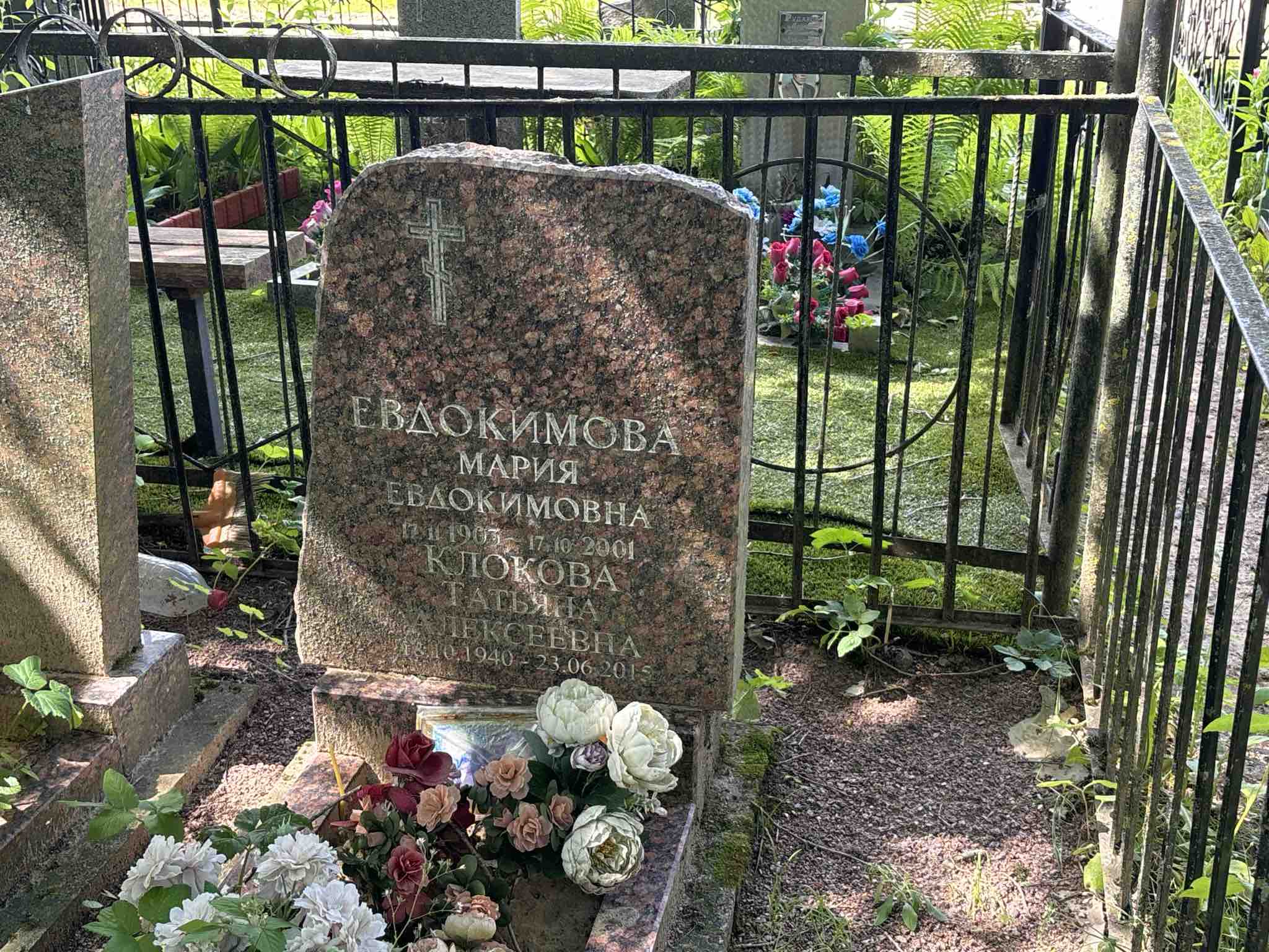 Клокова Татьяна Алексеевна