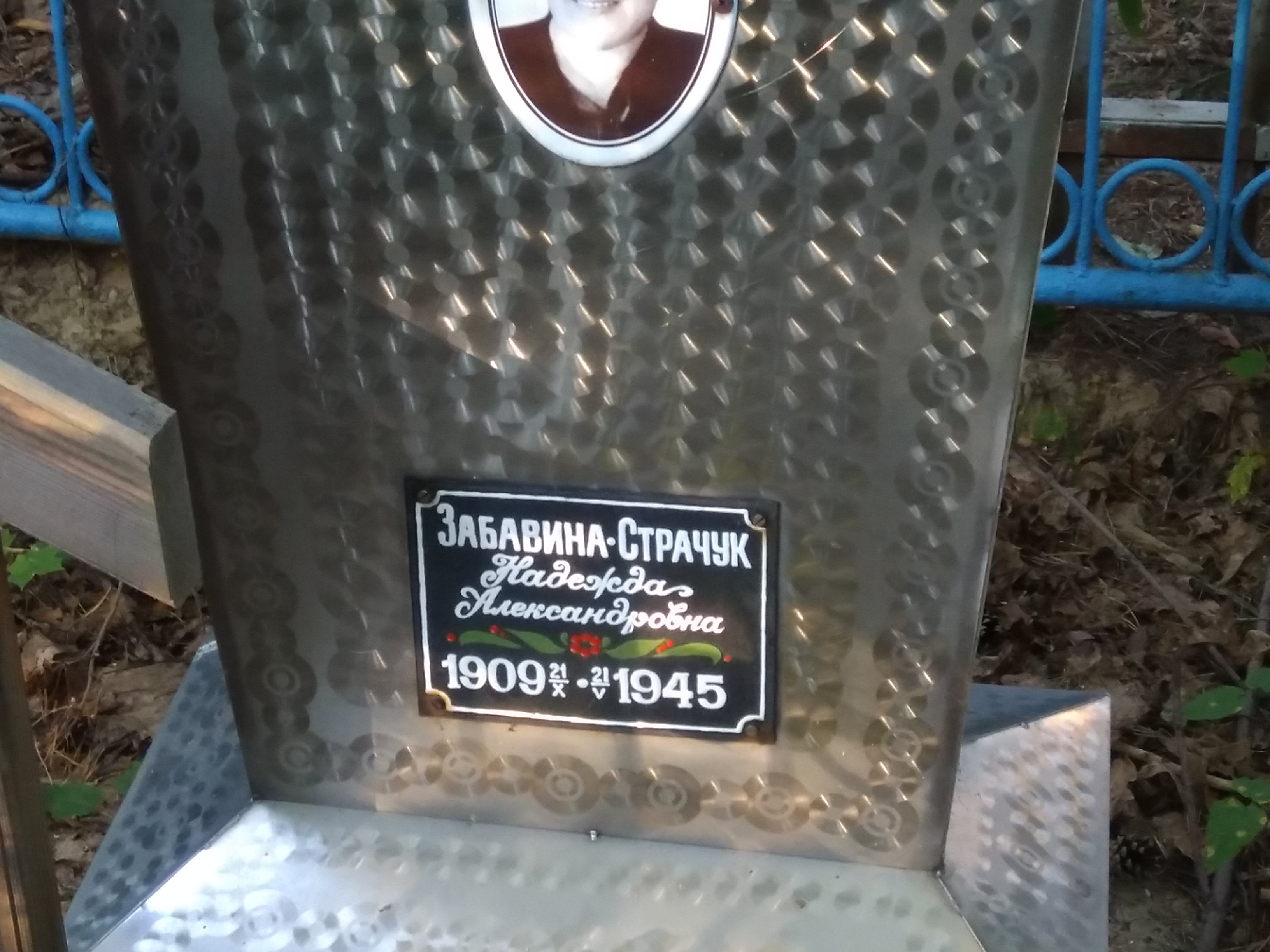 Забавина-Страчук Надежда Александровна