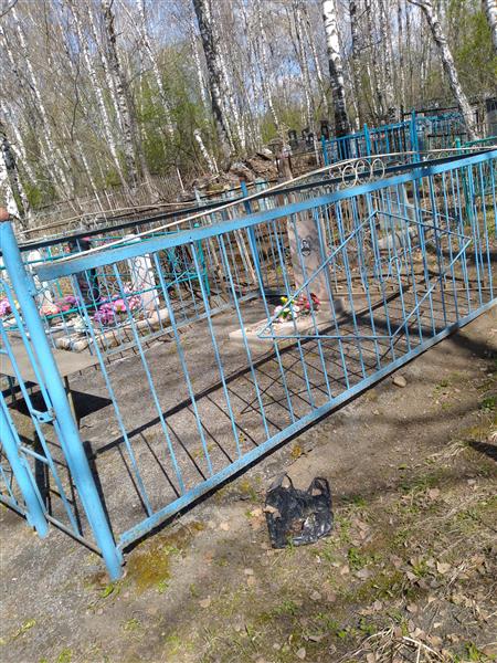 Кузнецов Николай Николаевич