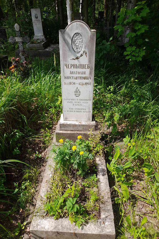 Чернышев Анатолий Константинович