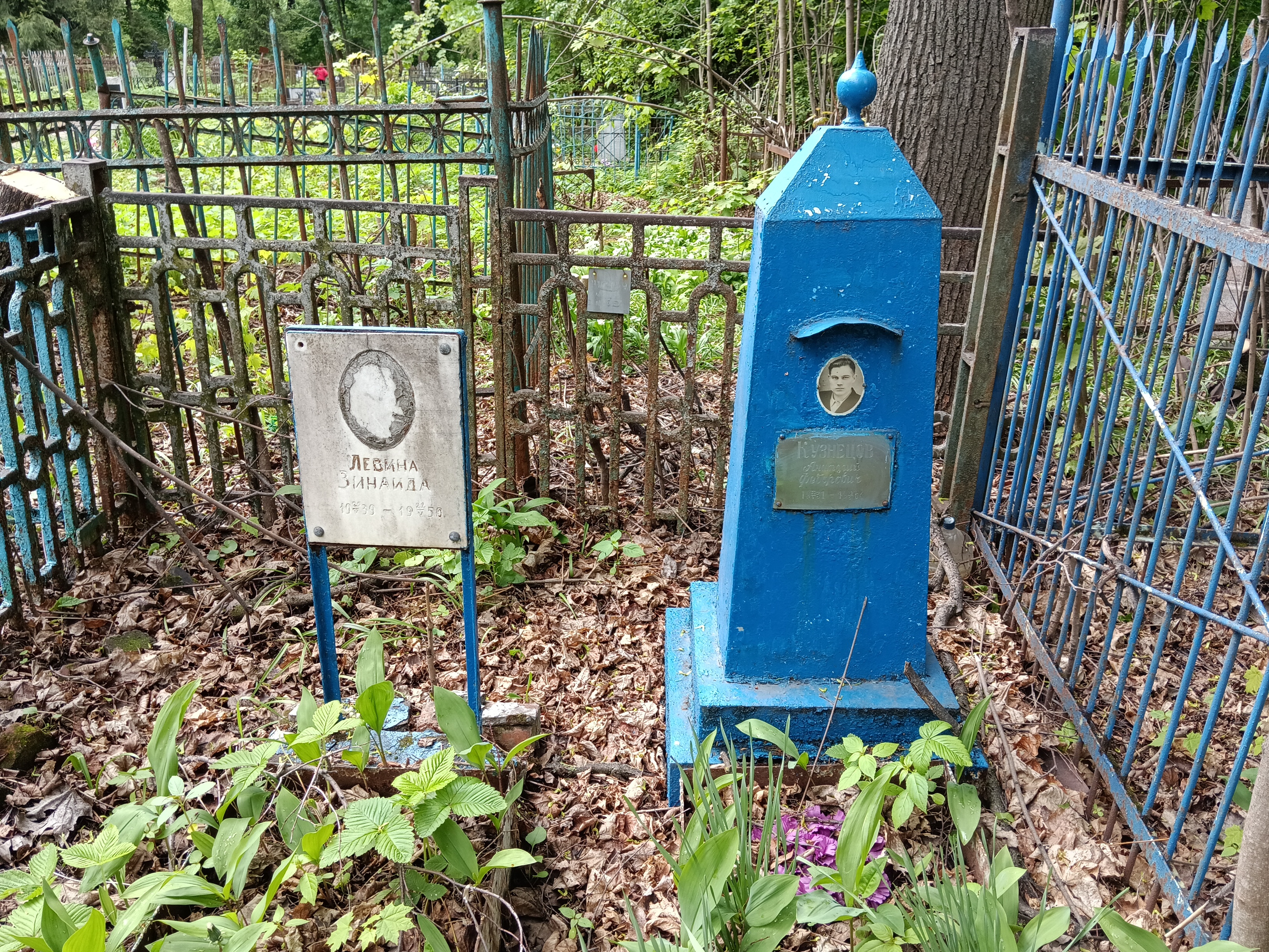 Левина Зинаида