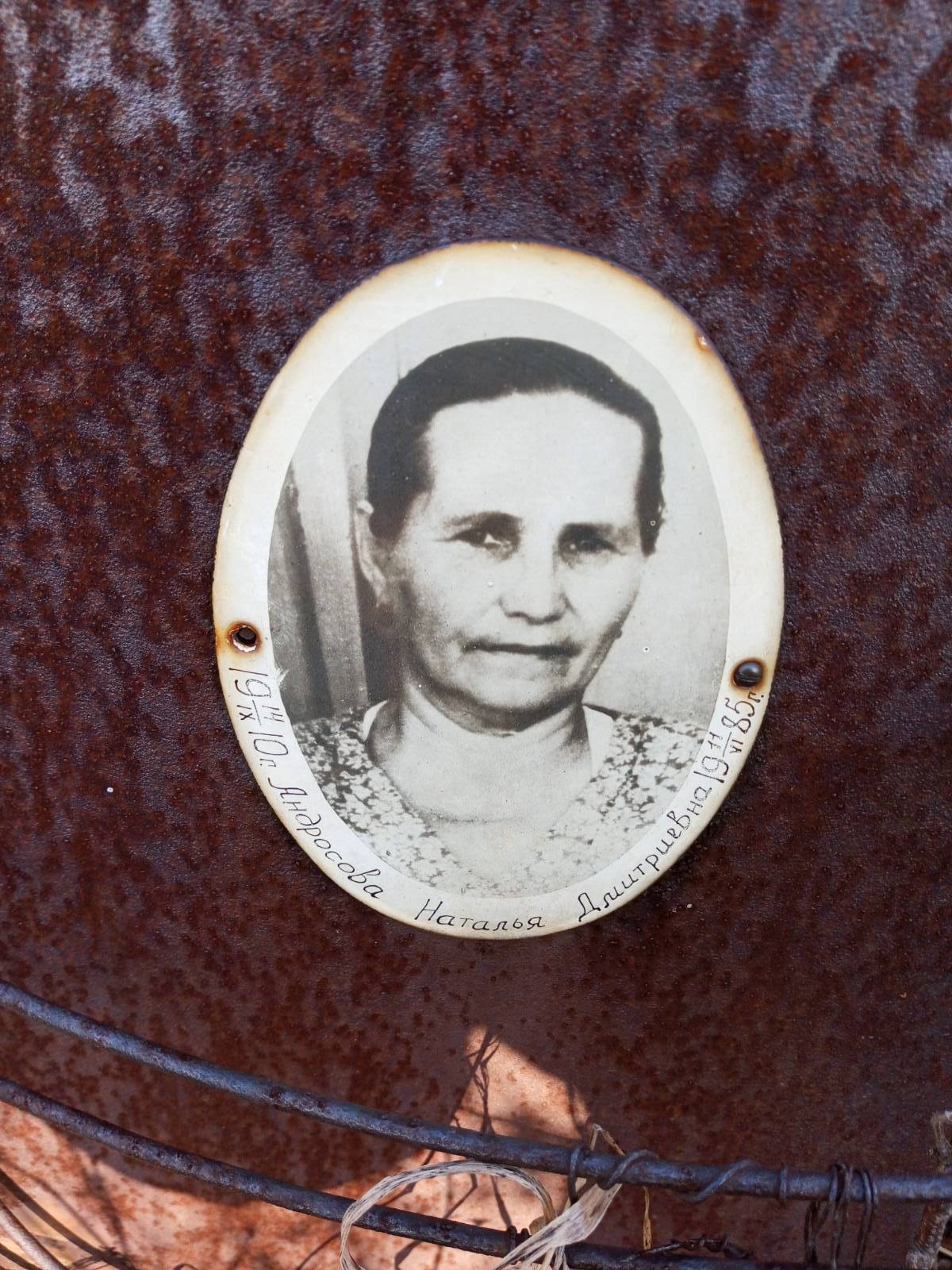 Андросова Наталья Дмитриевна
