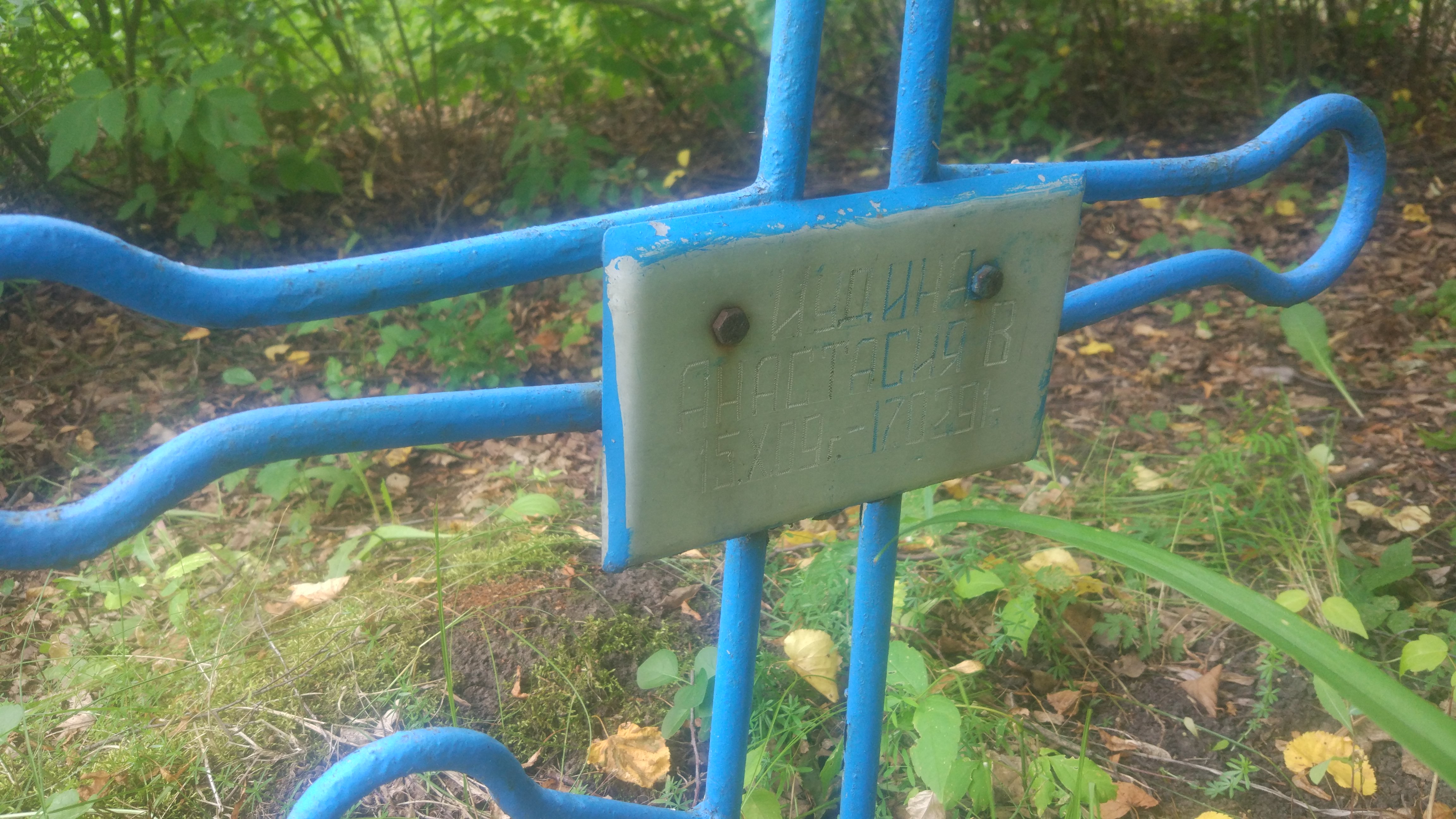 Иудина Анастасия В.