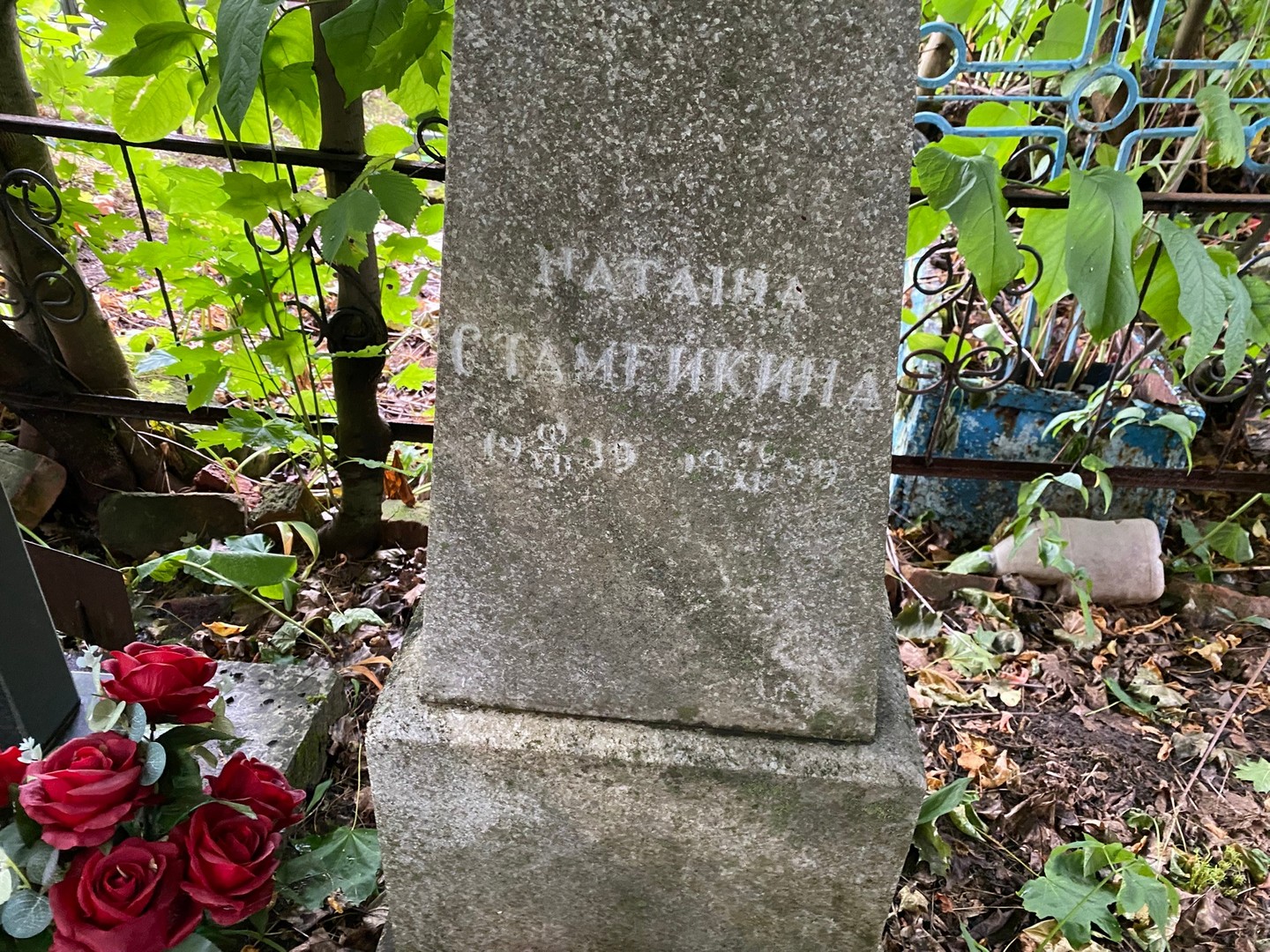 Стамейкина Стамейкина