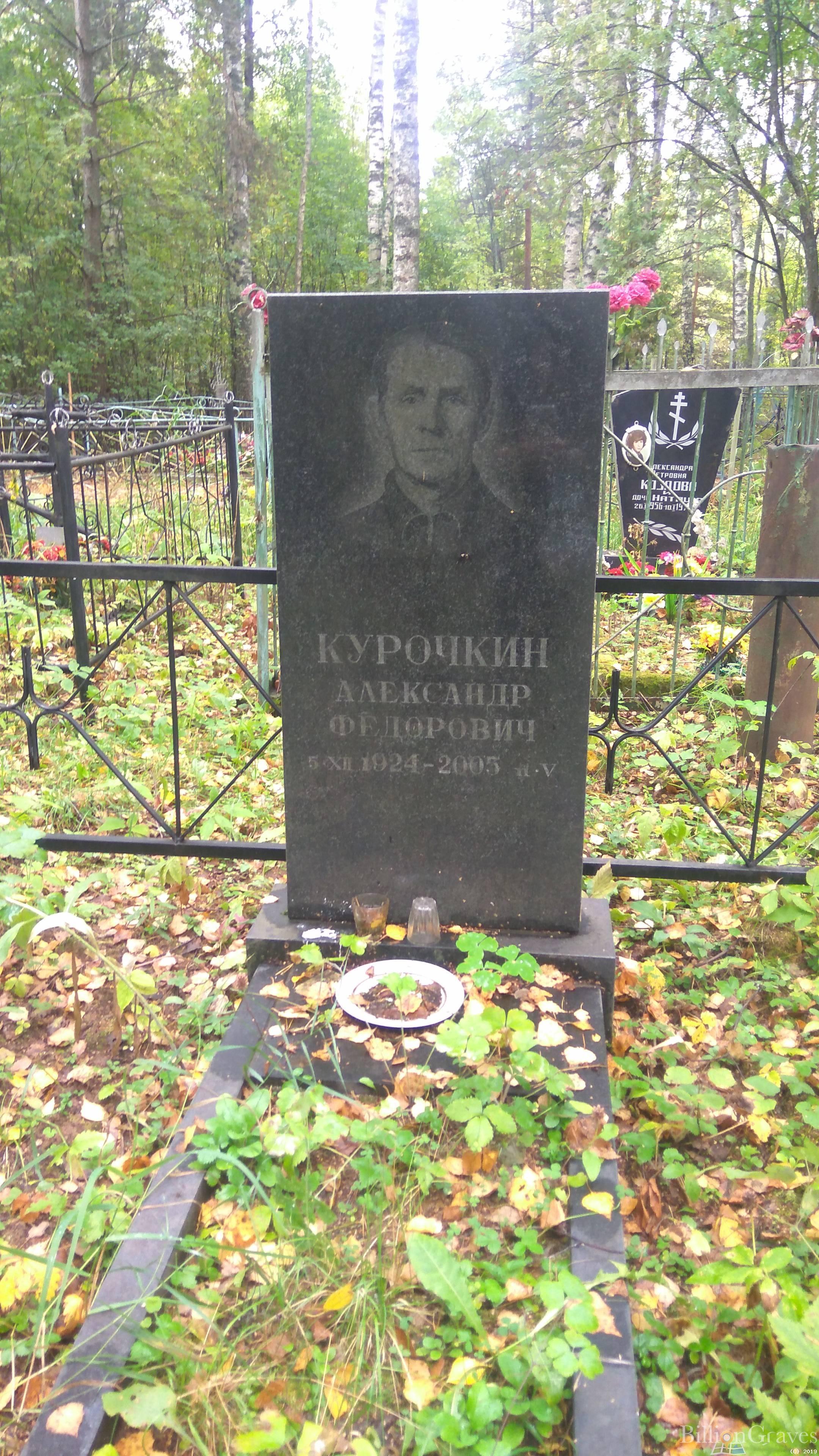 Курочкин Александр Фёдорович
