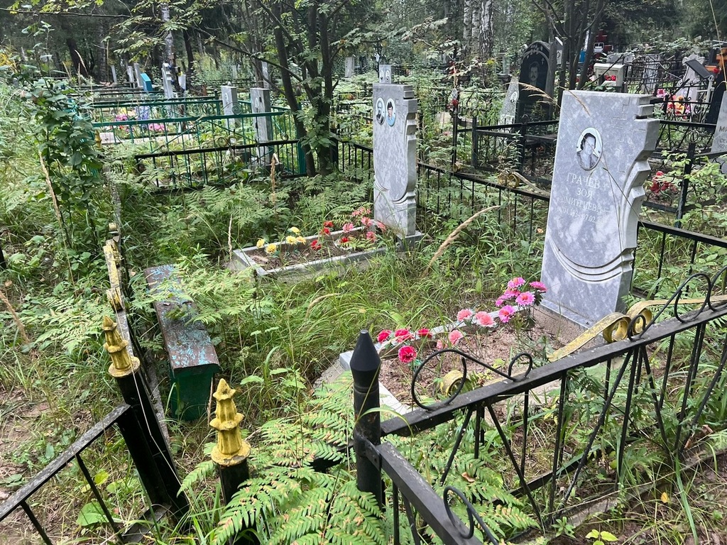 Грачева Зоя Дмитриевна
