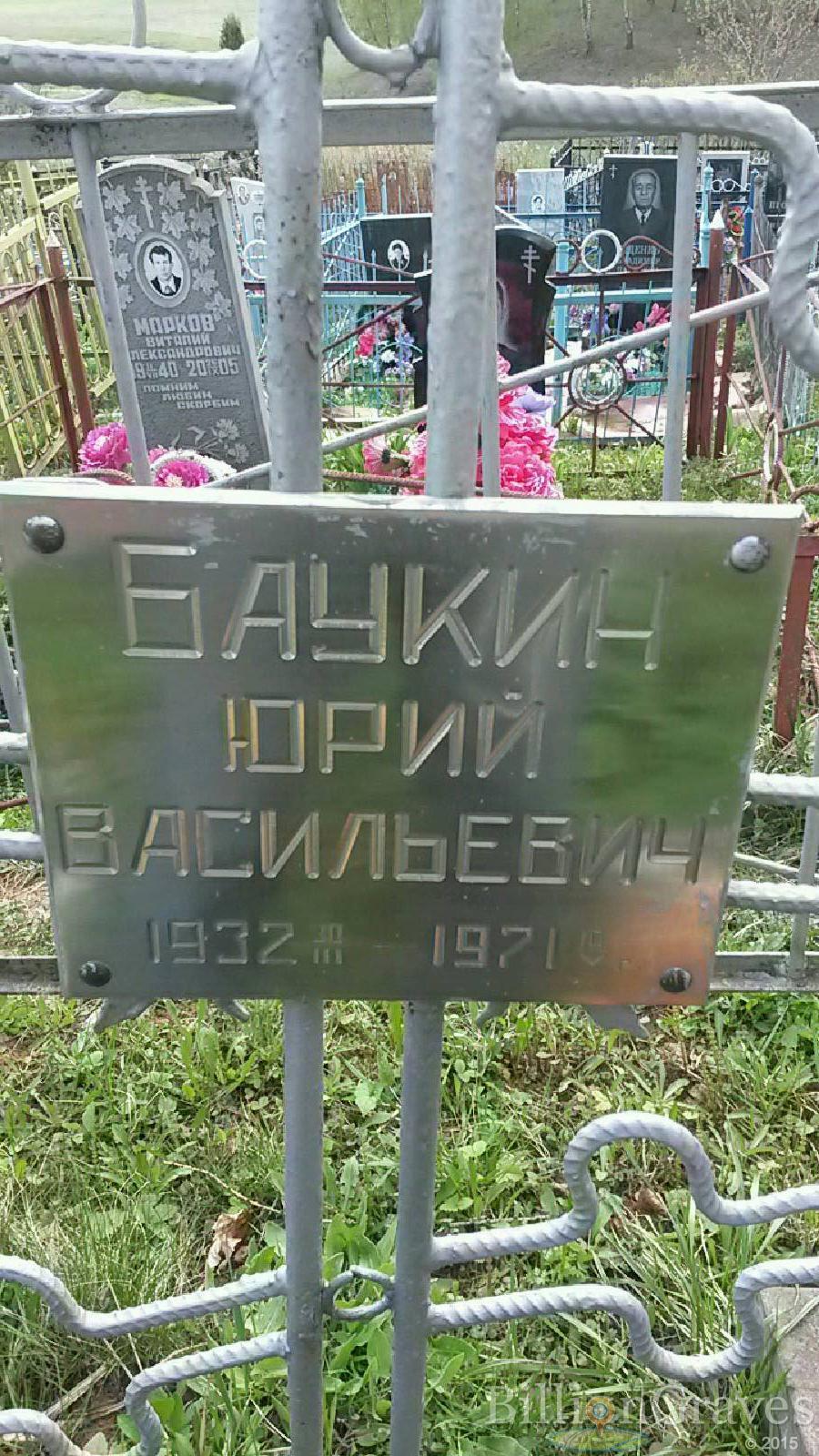 Баукин Юрий Васильевич