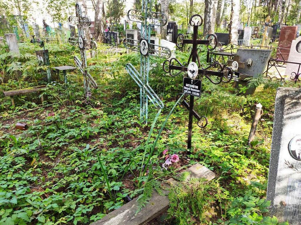 Ботоногов Николай Николаевич