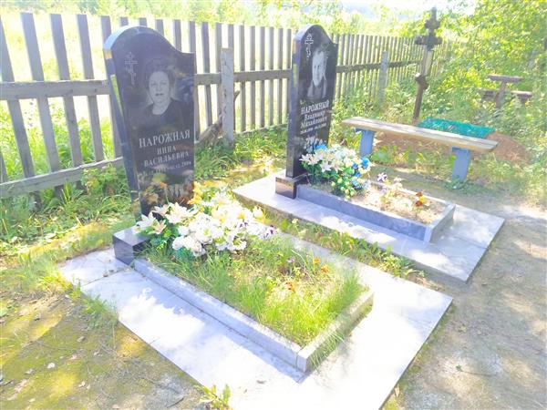 Нарожный Владимир Михайлович