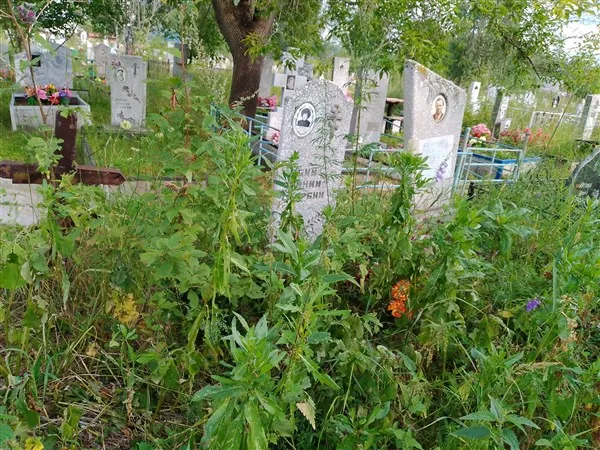 Авдюкова Людмила