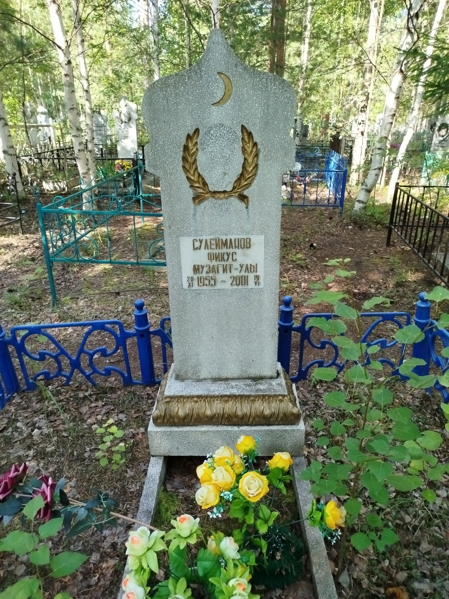 Сулейманов Фикус Музагитулы