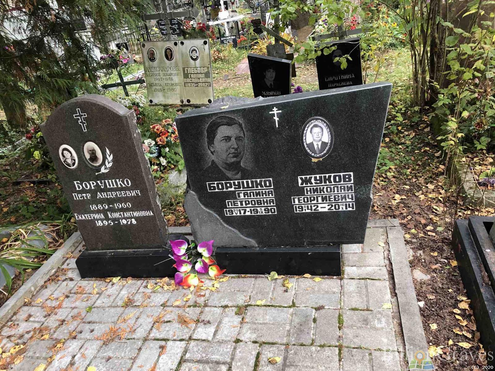 Борушко Галина Петровна