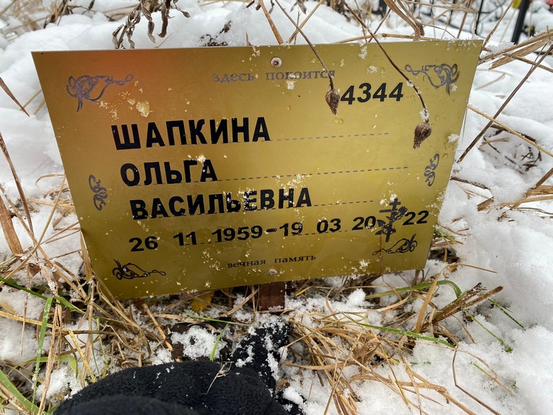Шапкина