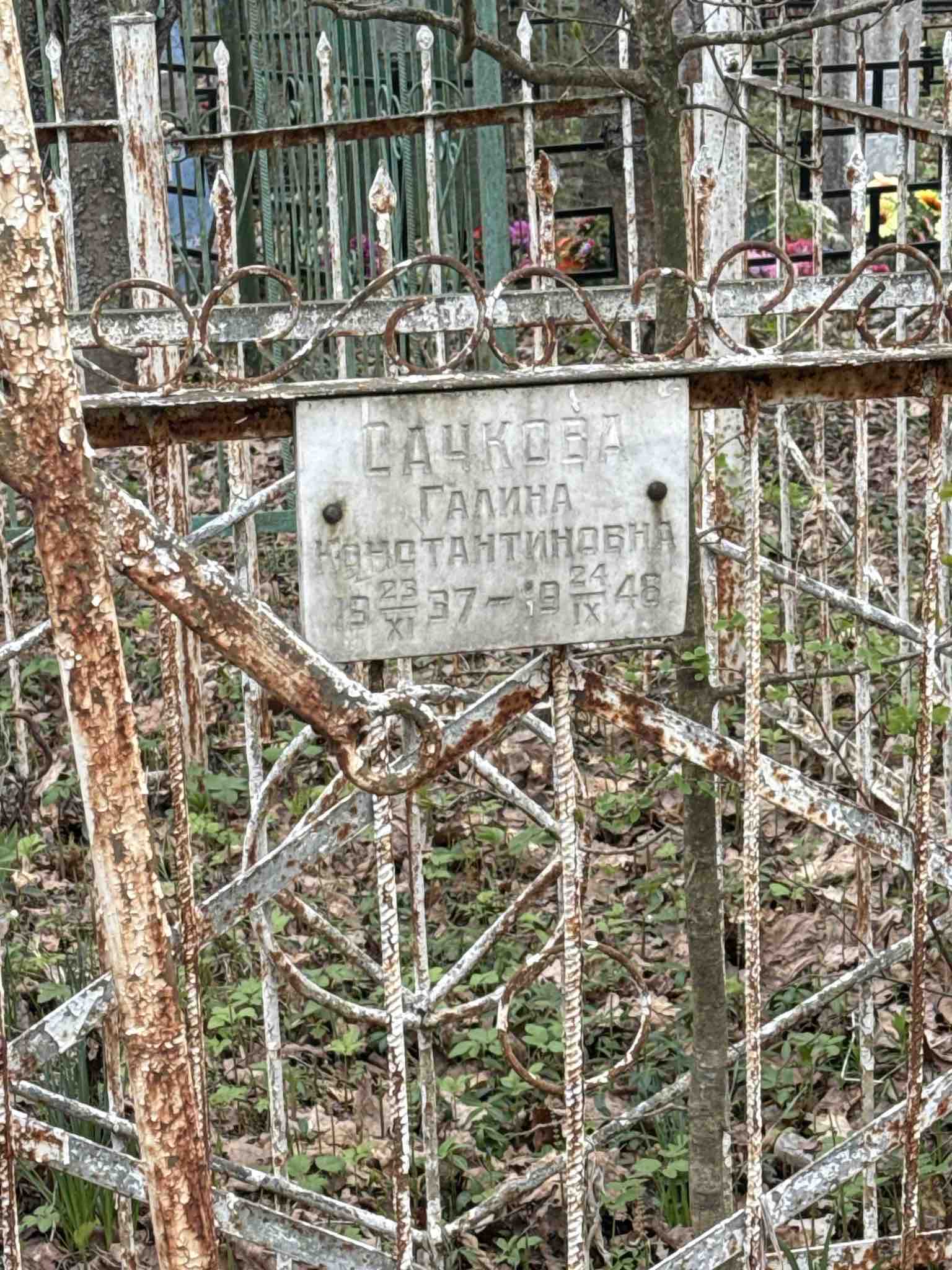 Сачкова Галина Константиновна