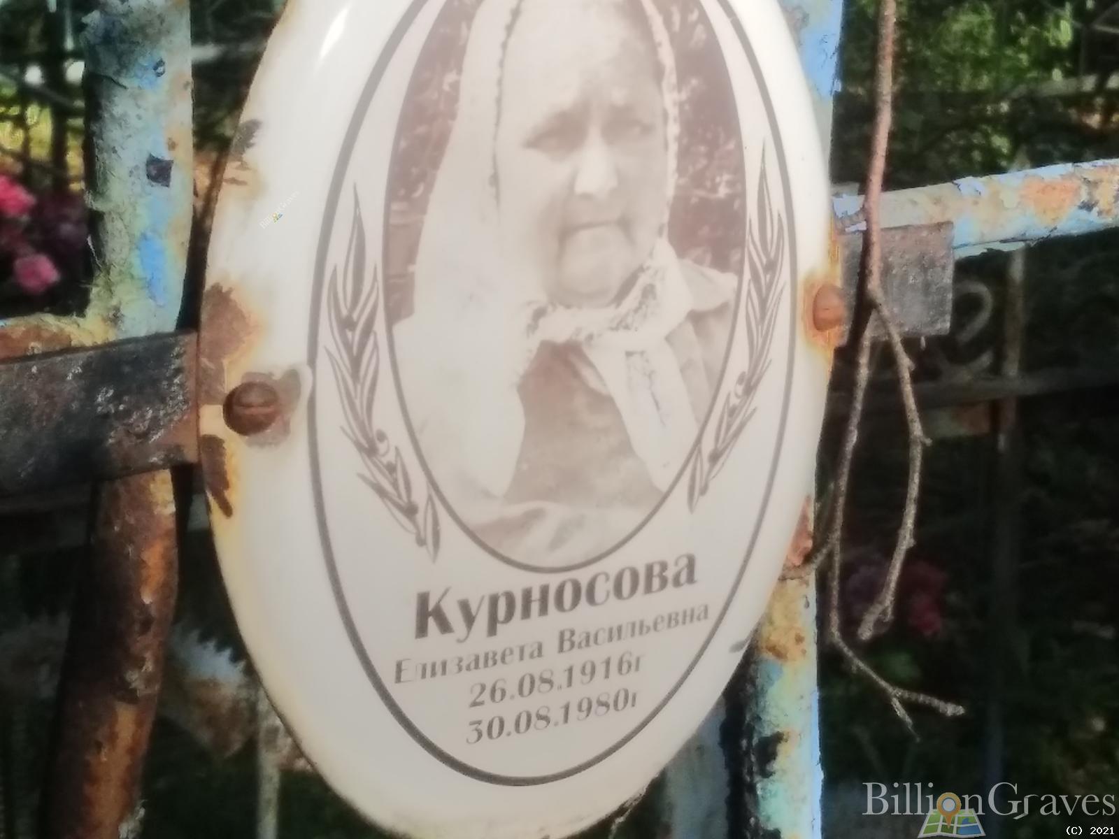 Курносова Елизавета Васильевна