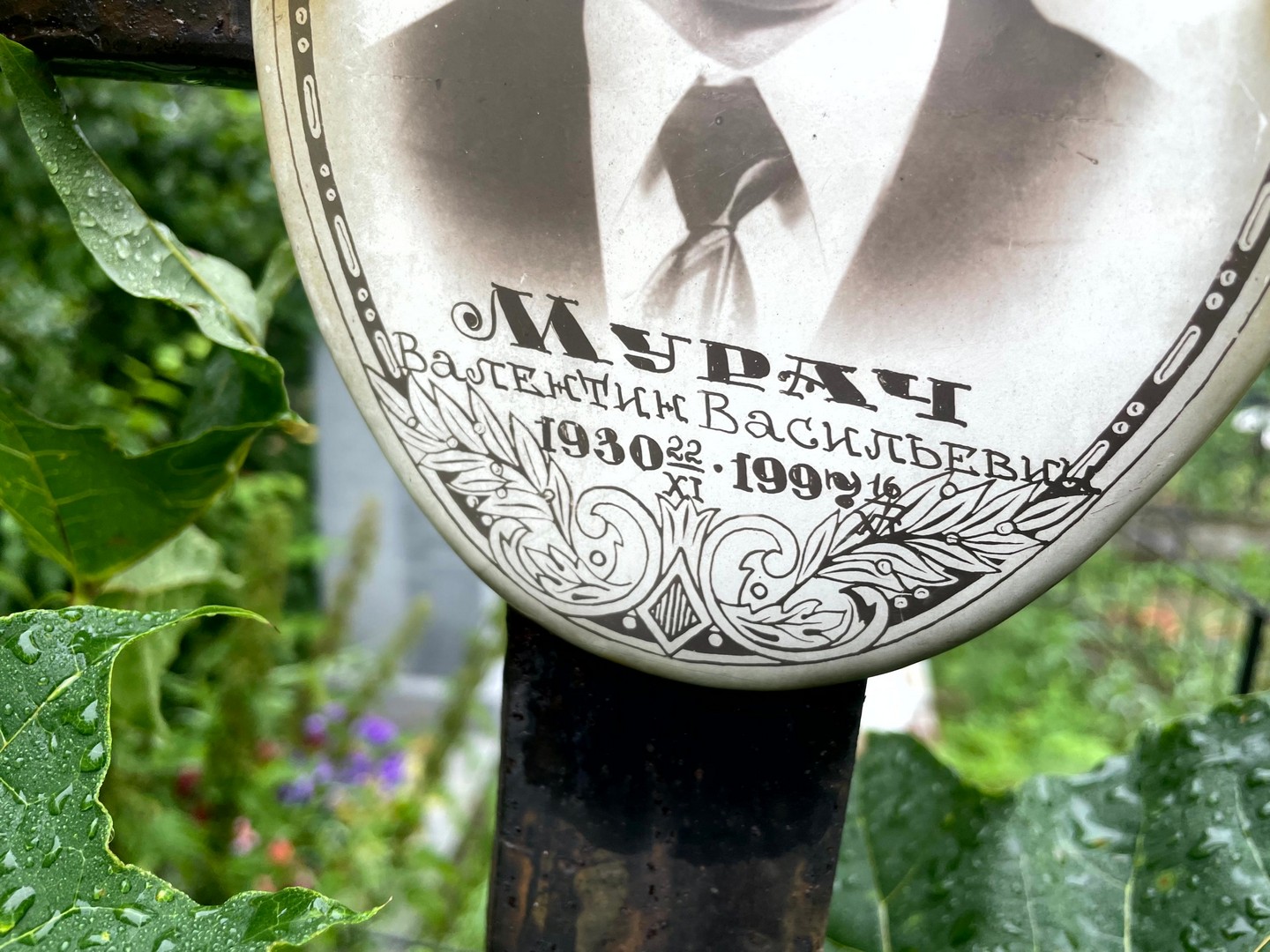 Мурач