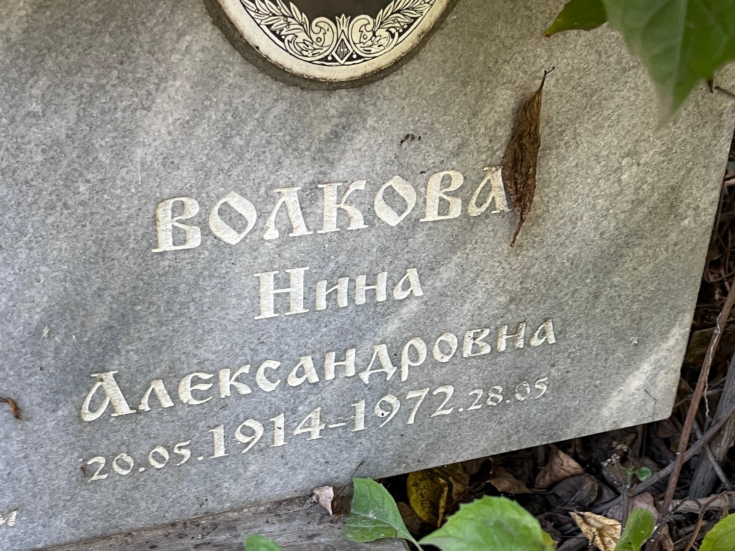 Волкова