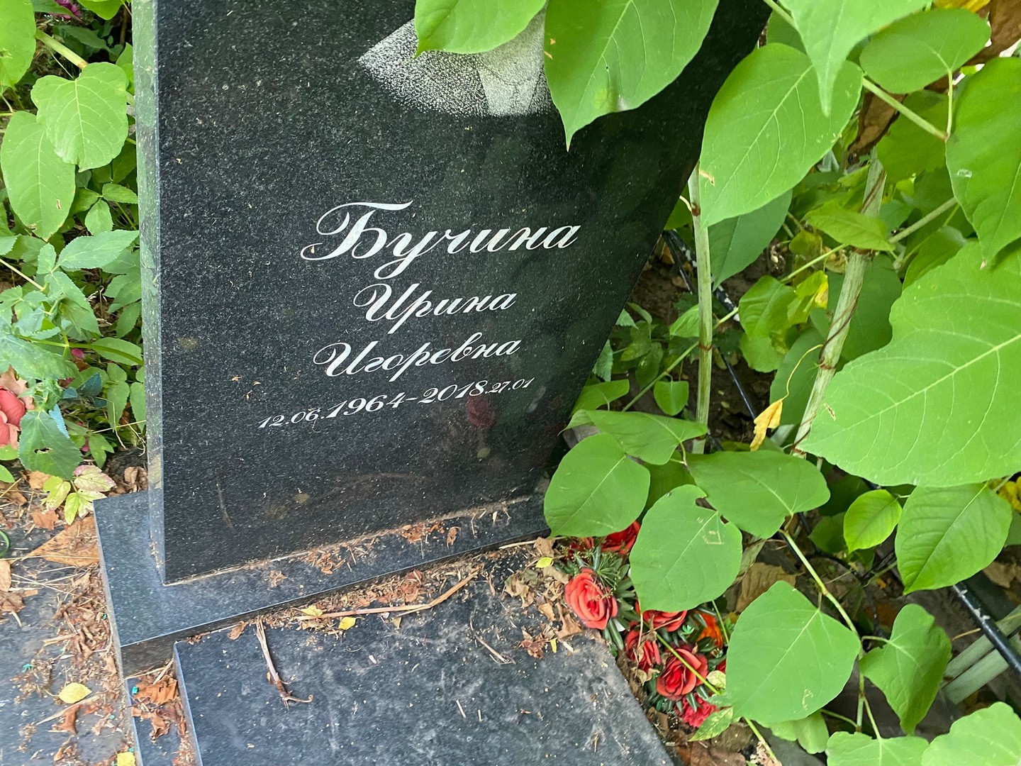 Бучина
