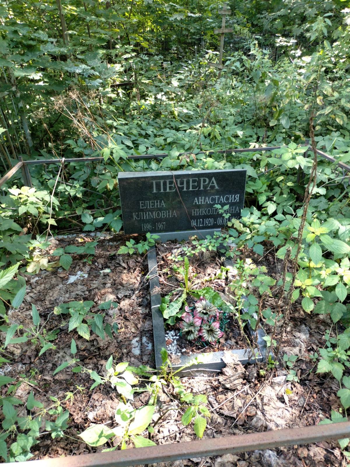 Печера Анастасия Николаевна
