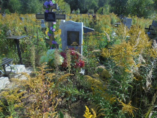 Бажан Александр Иванович