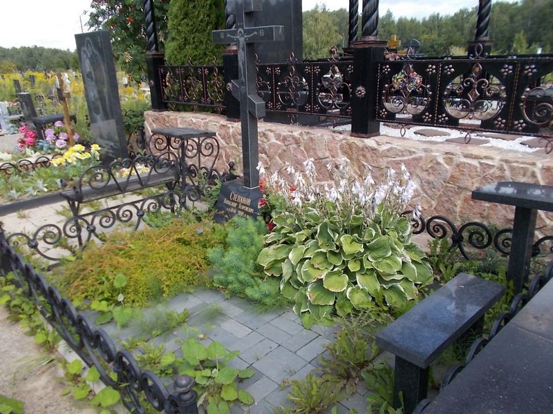 Степанов Александр Георгиевич