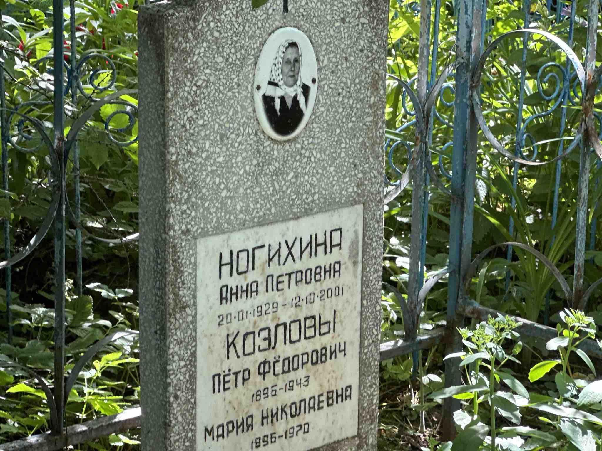 Ногихина Анна Петровна