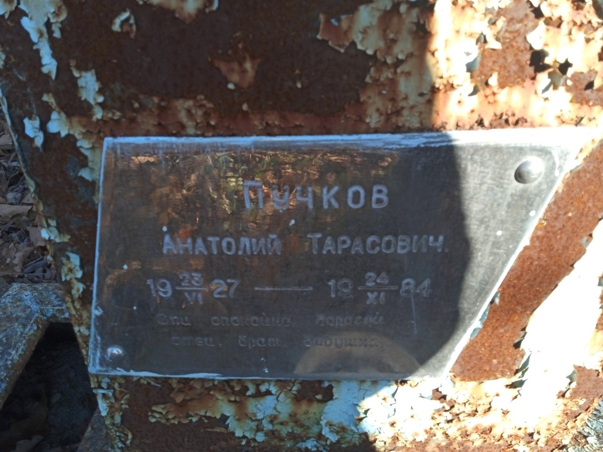 Пучков Анатолий Тарасович