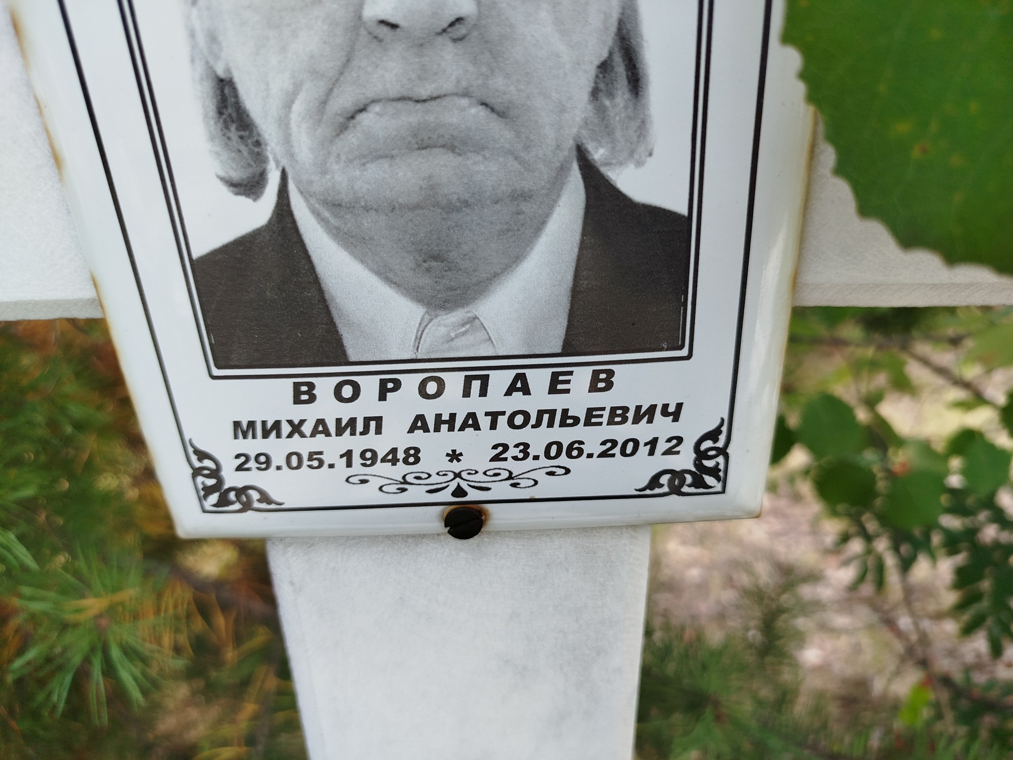 Воропаев Михаил Анатольевич