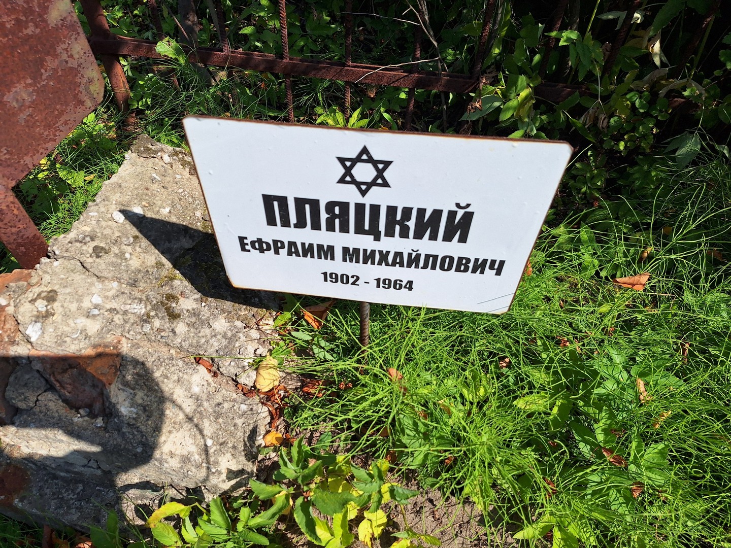 Ефраим Пляцкий Михайлович