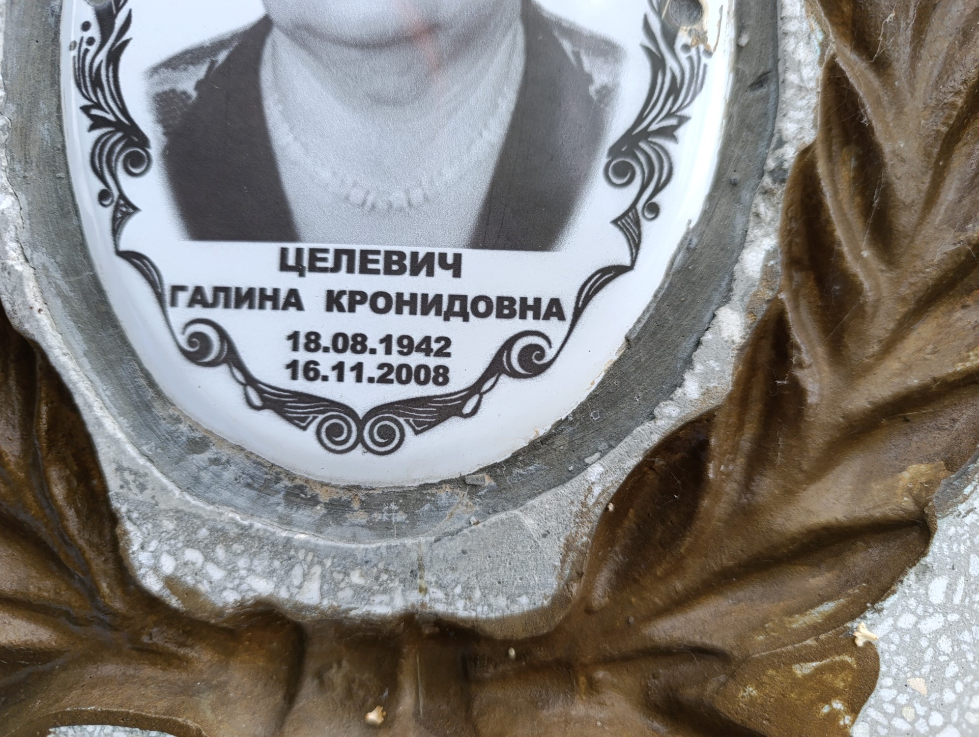 Целевич Галина Кронидовна
