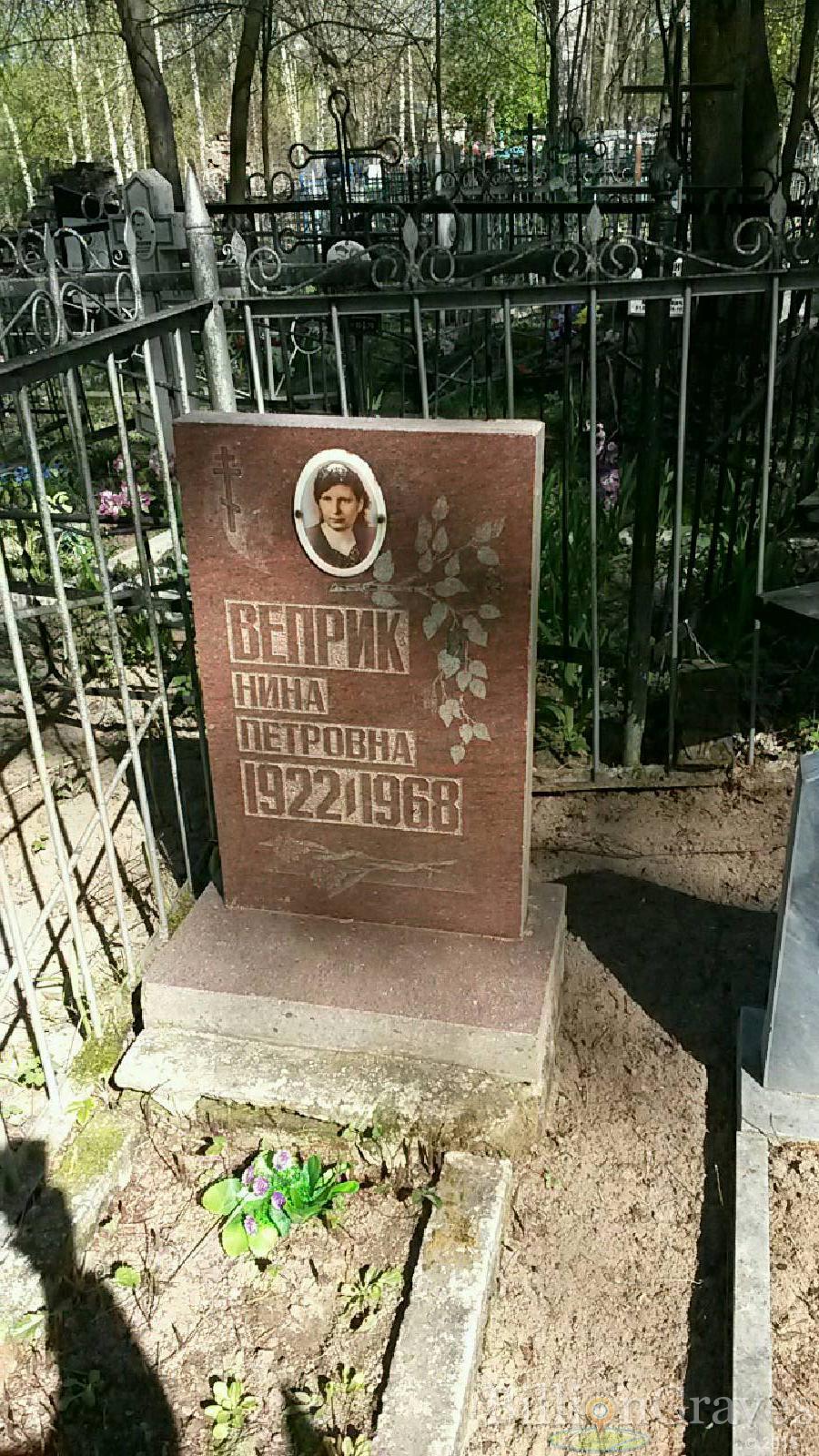 лимушина елизавета петровна