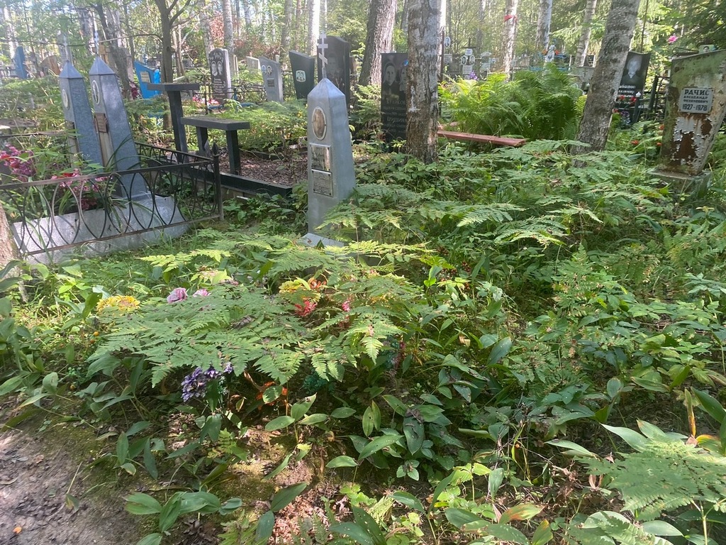 Шорохова Вера Сергеевна