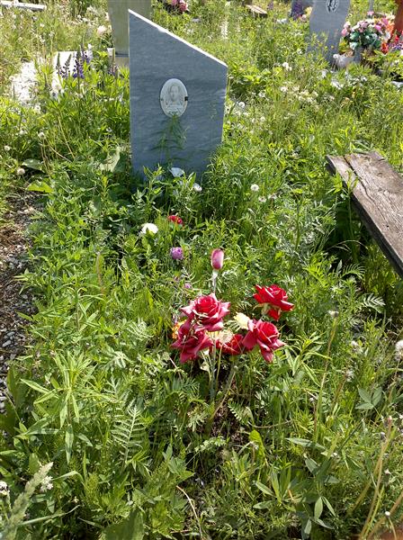 Соколов Александр Васильевич
