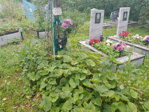 Кунгуров Александр Ефимович