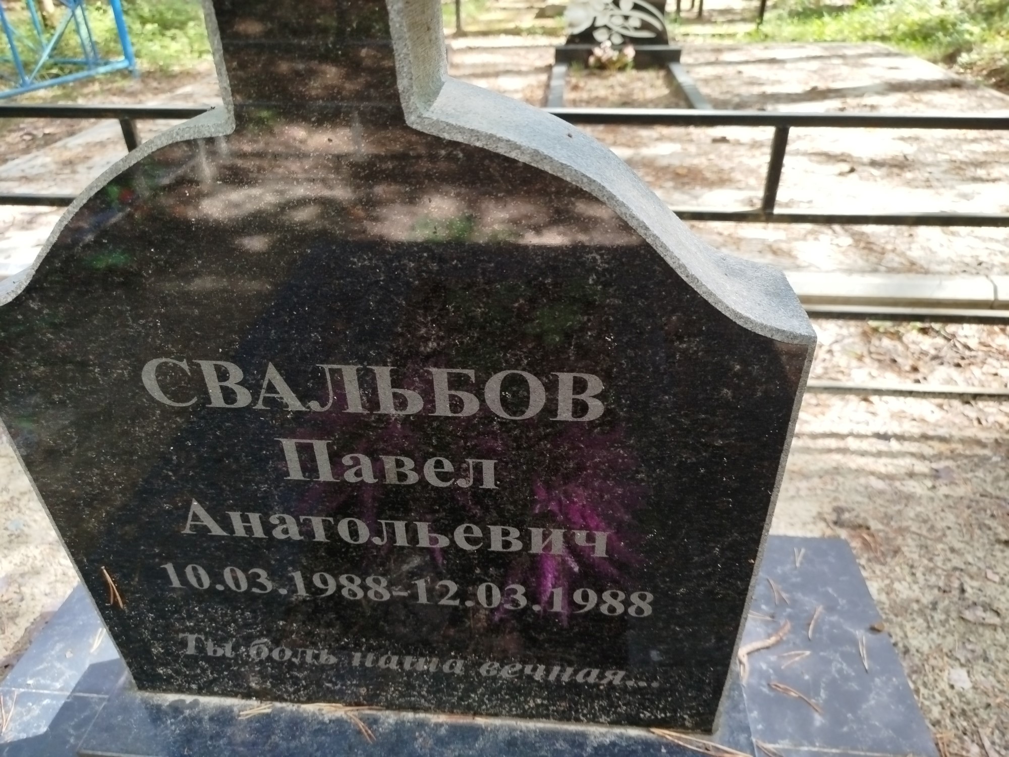 Свальбов Павел Анатольевич