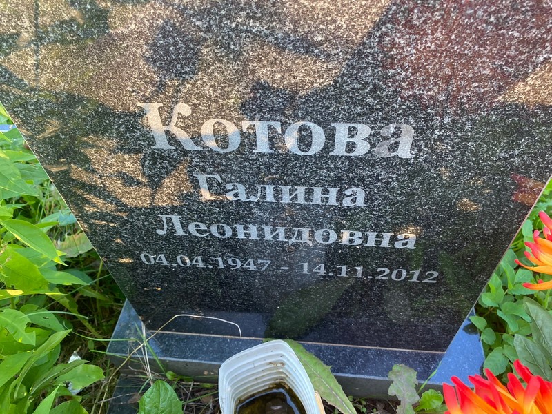 Котова