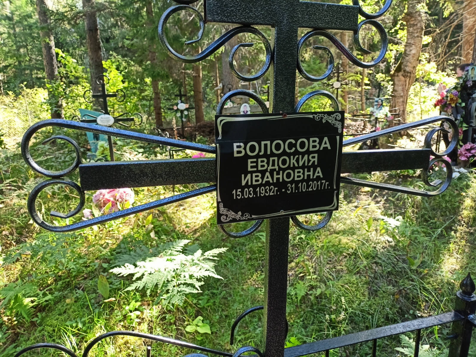 Волосов Алексей Васильевич