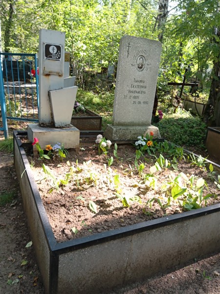 Тыкина Екатерина Николаевна